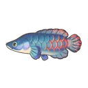 Arapaima
