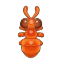 Army Ant