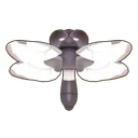 Banded Skimmer