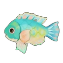 Blackspot Tuskfish