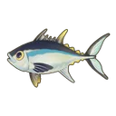 Bluefin Tuna