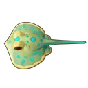 Bluespotted Ribbontail Ray