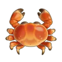 Brown Crab