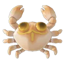 Deep-Sea Coral Crab