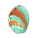 Disk Abalone