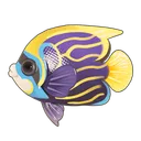 Emperor Angelfish