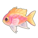Fairy Basslet