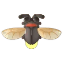 Firefly