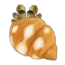 Flat-Clawed Hermit Crab