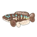 Giant Snakehead