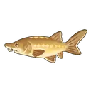 Kaluga