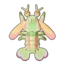 Keeltail Mantis Shrimp