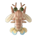 Mantis Shrimp