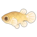 Mosquitofish