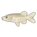 Noodlefish