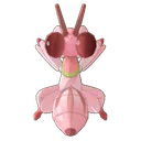 Orchid Mantis