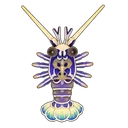 Painted Lobster