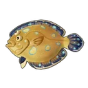 Peacock Flounder