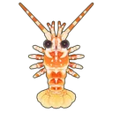 Pink Spiny Lobster
