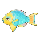 Rainbow Parrotfish