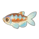Rainbow Shiner