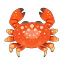 Red Egg Crab