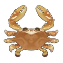 Red Swimming Crab