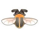Rimmed Window Firefly