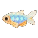 Rose Danio