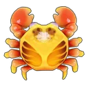 Sally Lightfoot Crab