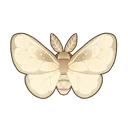 Satin Moth