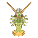 Scalloped Spiny Lobster