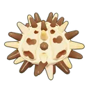 Stained Collector Urchin