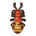 Stinky Giant Mountain Ant