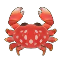 Strawberry Crab