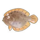 Turbot
