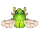 Unicolored Scarab Beetle