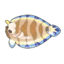 Unicorn Sole
