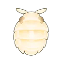 Yeti Isopod