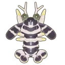Zebra Mantis Shrimp